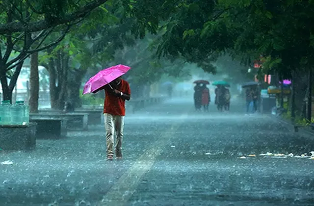 UP में बदला मौसम का मिजाज, बारिश से मिली गर्मी से राहत UP में बदला मौसम का मिजाज, बारिश से मिली गर्मी से राहत