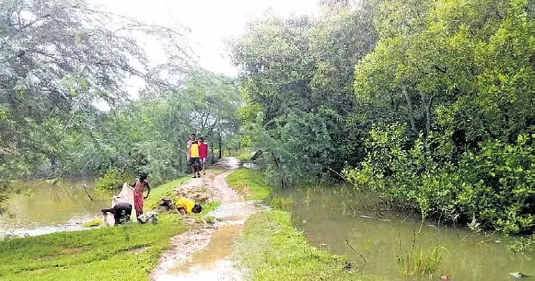 Odisha के केंद्रपाड़ा में ज्वार की लहरों से समुद्र तटीय गांव जलमग्न, फसलें जलमग्न Odisha के केंद्रपाड़ा में ज्वार की लहरों से समुद्र तटीय गांव जलमग्न, फसलें जलमग्न