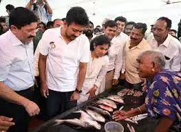 Chennai में मछली भोजन उत्सव Chennai में मछली भोजन उत्सव