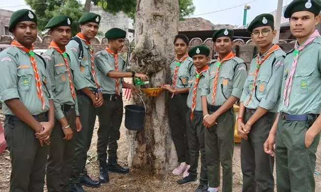 Dausa: पक्षियों की प्यास बुझाने निकले हाथ, परिंडा अभियान में दिखा उत्साह Dausa: पक्षियों की प्यास बुझाने निकले हाथ, परिंडा अभियान में दिखा उत्साह