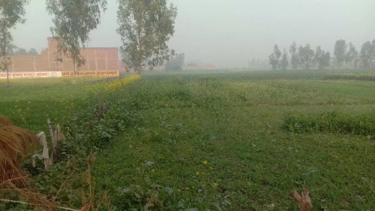 Farrukhabad: जाकिर हुसैन ट्रस्ट और सरकार के बीच भूमि विवाद बढ़ा Farrukhabad: जाकिर हुसैन ट्रस्ट और सरकार के बीच भूमि विवाद बढ़ा
