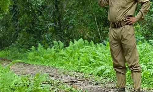 रायगढ़ जिले में वनरक्षको की हुई नियुक्ति