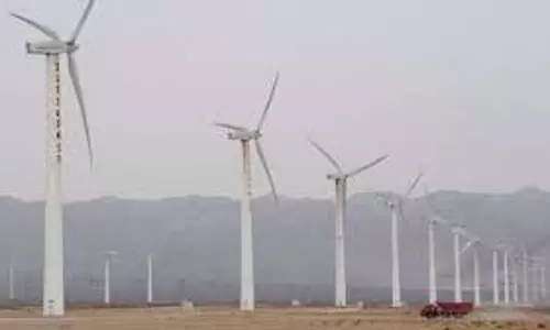 चौथी तिमाही नतीजों से सुजलॉन एनर्जी के शेयरों में 14% उछाल