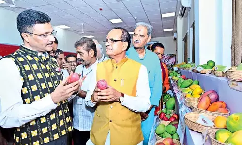 किसानों को फल-फूल की खेती करनी चाहिए : केंद्रीय कृषि किसानों को फल-फूल की खेती करनी चाहिए : केंद्रीय कृषि