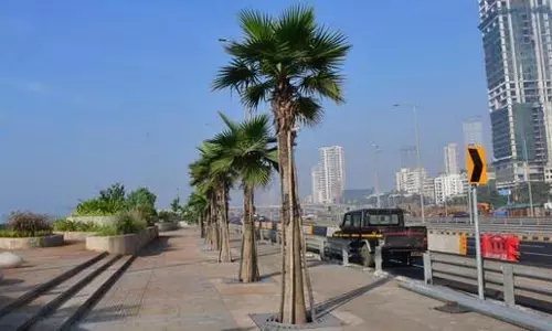 BMC ने तटीय सड़क किनारे विकास के लिए RIL को चुना