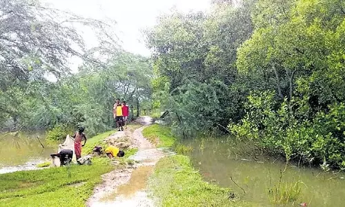 Odisha के केंद्रपाड़ा में ज्वार की लहरों से समुद्र तटीय गांव जलमग्न, फसलें जलमग्न