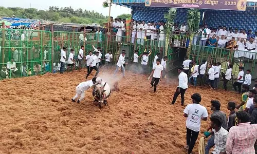 Pudukottai : कीलवेगुपट्टी एकली अम्मन मंदिर महोत्सव में जल्लीकट्टू Pudukottai : कीलवेगुपट्टी एकली अम्मन मंदिर महोत्सव में जल्लीकट्टू