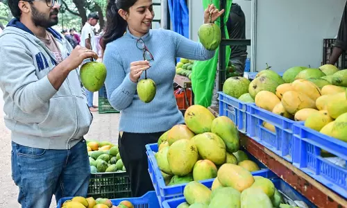Lalbagh : आम, कटहल मेला शुरू