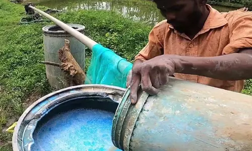 Mayilethuttu : सब्सिडी अभी मीलों दूर Mayilethuttu : सब्सिडी अभी मीलों दूर