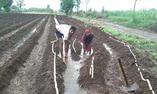 Karnataka : 7.30 लाख हेक्टेयर में बुवाई का लक्ष्य Karnataka : 7.30 लाख हेक्टेयर में बुवाई का लक्ष्य