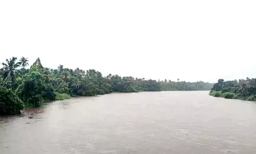 चालाकुडी नदी में जलस्तर बढ़ रहा है; पेरिंगलकुथु बांध के दरवाजे खोले जाने की संभावना