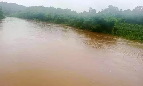 बारिश जारी; जिले में बाढ़ का खतरा