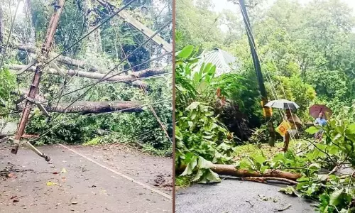 भारी बारिश और असामान्य हवाओं से KSEB को जिले में 7.9 करोड़ का नुकसान