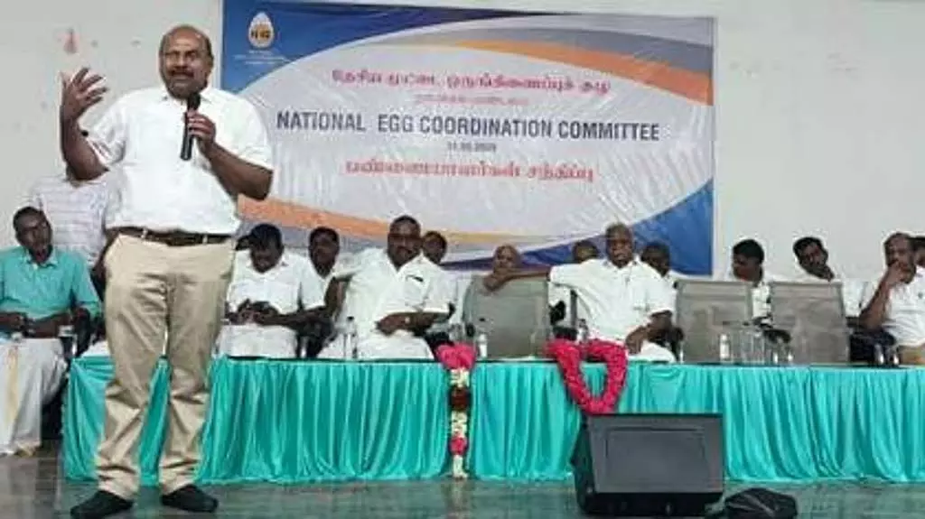 अंडे की कीमतों में और वृद्धि होने की संभावना: NECC अंडे की कीमतों में और वृद्धि होने की संभावना: NECC