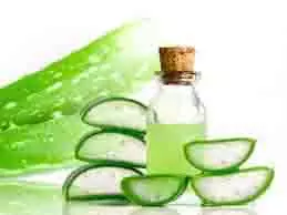 Hair Care: बालों पर एलोवेरा जेल लगाने के 5 तरीके देखें, एक हफ्ते तक रोजाना लगाने पर दिखेगा असर Hair Care: बालों पर एलोवेरा जेल लगाने के 5 तरीके देखें, एक हफ्ते तक रोजाना लगाने पर दिखेगा असर