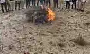 MP News: टाइगर रिजर्व के पास मिला तेंदुए का कंकाल, जांच शुरू MP News: टाइगर रिजर्व के पास मिला तेंदुए का कंकाल, जांच शुरू