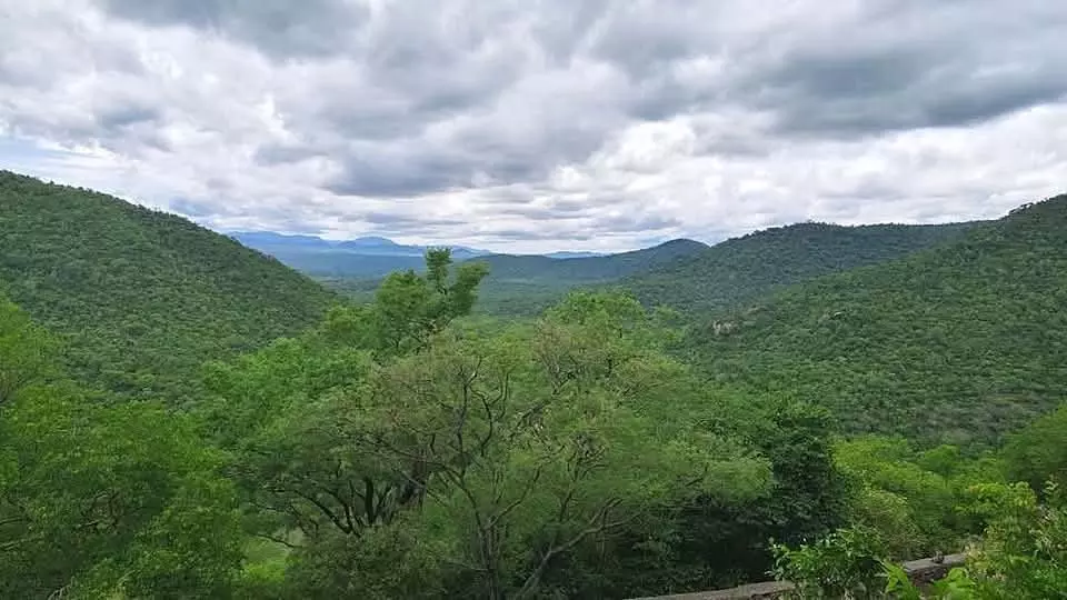 म्यदुम्बिडा मालेमहादेश्वर : कावेरी वन्यजीव अभयारण्य म्यदुम्बिडा मालेमहादेश्वर : कावेरी वन्यजीव अभयारण्य