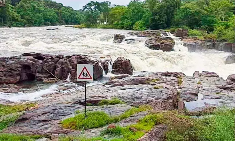 Kerala : पेरुम्थेनरुवी पर बनेगा कांच का फुटब्रिज, 7 करोड़ मंजूर Kerala : पेरुम्थेनरुवी पर बनेगा कांच का फुटब्रिज, 7 करोड़ मंजूर