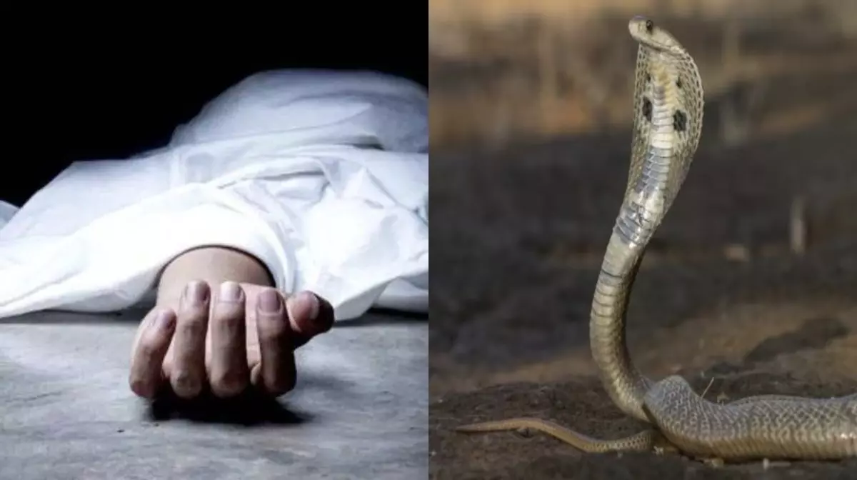 Sonbhadra: सांप के काटने पर झाड़-फूंक में समय गंवाया, महिला ने तोड़ा दम Sonbhadra: सांप के काटने पर झाड़-फूंक में समय गंवाया, महिला ने तोड़ा दम