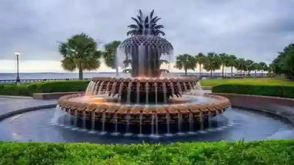 Noida: चौराहों पर फव्वारे होंगे रोशन, शहर बनेगा और खूबसूरत Noida: चौराहों पर फव्वारे होंगे रोशन, शहर बनेगा और खूबसूरत