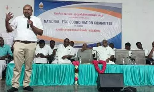 अंडे की कीमतों में और वृद्धि होने की संभावना: NECC
