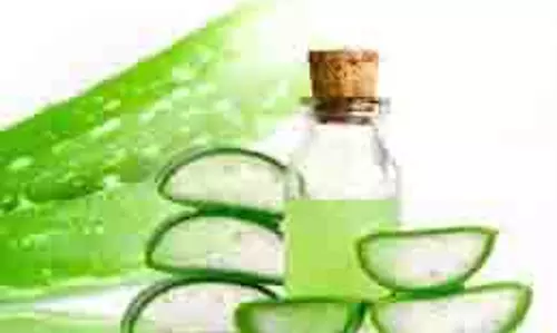 Hair Care: बालों पर एलोवेरा जेल लगाने के 5 तरीके देखें, एक हफ्ते तक रोजाना लगाने पर दिखेगा असर Hair Care: बालों पर एलोवेरा जेल लगाने के 5 तरीके देखें, एक हफ्ते तक रोजाना लगाने पर दिखेगा असर