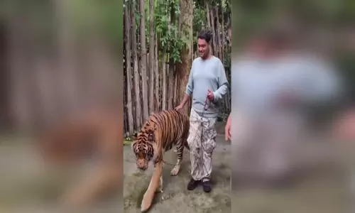 सेल्फी भारी पड़ी! जो हुआ, उसने सभी को डरा दिया...देखें मंजर