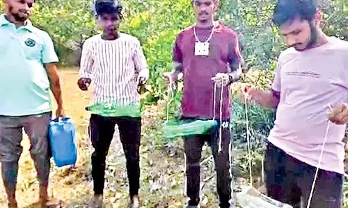 Odisha : युवाओं ने पक्षियों को पानी और भोजन उपलब्ध कराने के लिए हाथ मिलाया