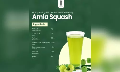 आंवला स्क्वैश के इन फायदों से वाकिफ नहीं होंगे आप, इम्यूनिटी बढ़ाने के साथ सभी लोगों के लिए लाभकारी