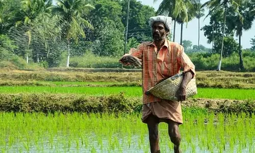 CM रसायनों के अत्यधिक उपयोग के कारण मिट्टी की उर्वरता में गिरावट से चिंतित CM रसायनों के अत्यधिक उपयोग के कारण मिट्टी की उर्वरता में गिरावट से चिंतित