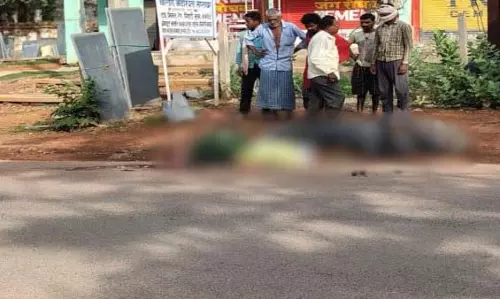 दादा-दादी और पोते हादसे का शिकार, परिवार में मातम