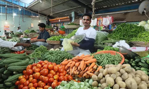 Raichur : सबसे ज्यादा नारियल के दाम बढ़े Raichur : सबसे ज्यादा नारियल के दाम बढ़े