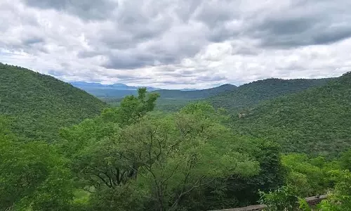 म्यदुम्बिडा मालेमहादेश्वर : कावेरी वन्यजीव अभयारण्य