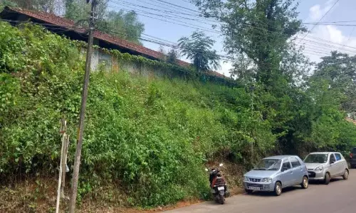 स्कूल खुलने का समय नजदीक; स्कूल परिसर में जंगल फैला; अधिकारी कोई कार्रवाई नहीं कर रहे