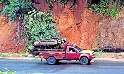 NH 544 के मन्नुथी-वडक्कनचेरी खंड पर 10 स्थानों पर भूस्खलन का खतरा
