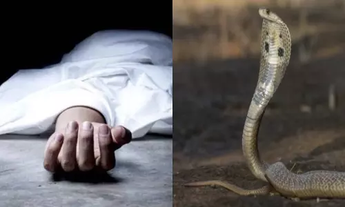 Sonbhadra: सांप के काटने पर झाड़-फूंक में समय गंवाया, महिला ने तोड़ा दम Sonbhadra: सांप के काटने पर झाड़-फूंक में समय गंवाया, महिला ने तोड़ा दम
