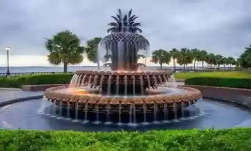 Noida: चौराहों पर फव्वारे होंगे रोशन, शहर बनेगा और खूबसूरत Noida: चौराहों पर फव्वारे होंगे रोशन, शहर बनेगा और खूबसूरत