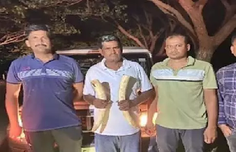 Odisha : बौध से 50 लाख के हाथी दांत जब्त Odisha : बौध से 50 लाख के हाथी दांत जब्त