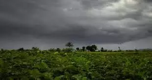 Bihar weather: बारिश का अलर्ट, तूफान के चलते रेल सेवा बाधित Bihar weather: बारिश का अलर्ट, तूफान के चलते रेल सेवा बाधित
