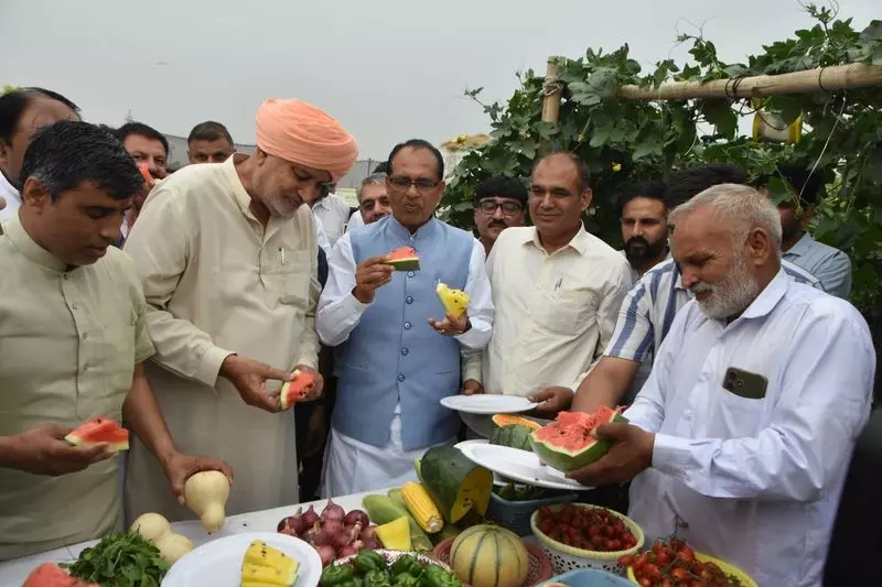 Haryana : किसान भारत की रीढ़ हैं शिवराज सिंह चौहान Haryana : किसान भारत की रीढ़ हैं शिवराज सिंह चौहान