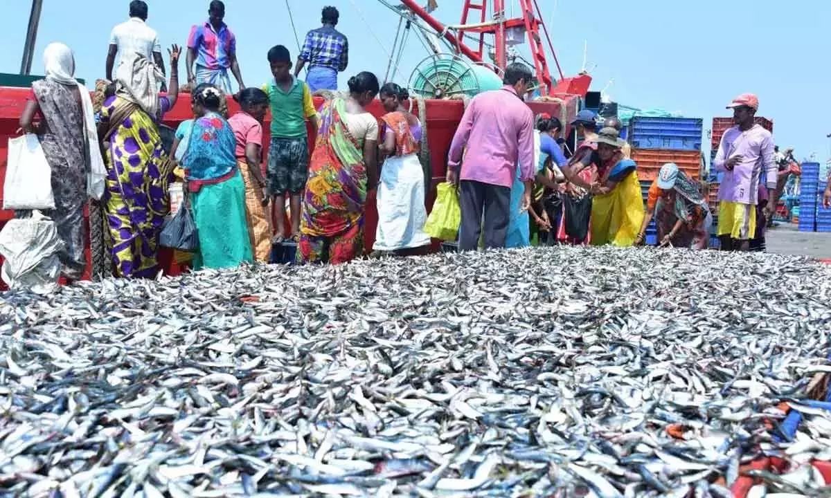 Karnataka: मानसून में मछली पकड़ने पर प्रतिबंध के लिए तट तैयार Karnataka: मानसून में मछली पकड़ने पर प्रतिबंध के लिए तट तैयार