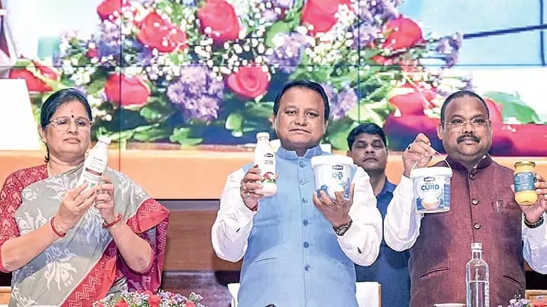 13 जून से OMFED दूध 2 रुपये महंगा हो जाएगा 13 जून से OMFED दूध 2 रुपये महंगा हो जाएगा