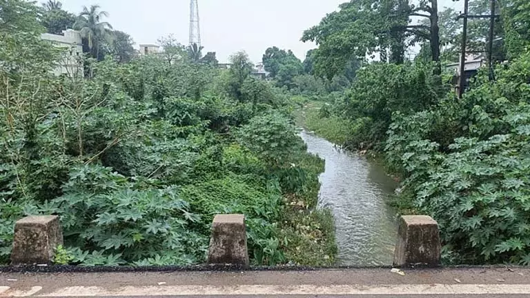 Odisha: तटबंधों की हालत खराब, बारीपदा में बाढ़ का खतरा मंडरा रहा Odisha: तटबंधों की हालत खराब, बारीपदा में बाढ़ का खतरा मंडरा रहा