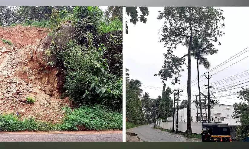 खतरनाक पेड़, मिट्टी के टीले और पत्थरों के ढेर; इन्हें हटाने के लिए कोई कार्रवाई नहीं की गई खतरनाक पेड़, मिट्टी के टीले और पत्थरों के ढेर; इन्हें हटाने के लिए कोई कार्रवाई नहीं की गई