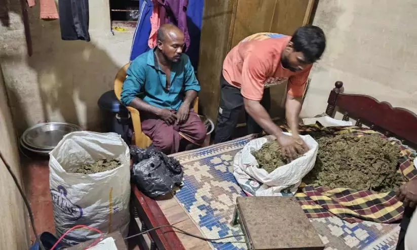 बड़ी नशीले पदार्थ की बरामदगी; 33.05 किलोग्राम गांजा जब्त बड़ी नशीले पदार्थ की बरामदगी; 33.05 किलोग्राम गांजा जब्त