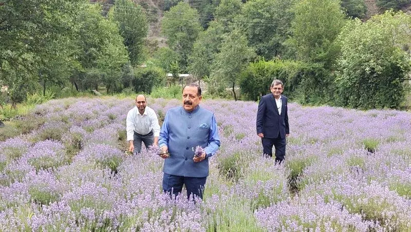 मंत्री जितेंद्र सिंह ने Doda के भद्रवाह कस्बे में लैवेंडर महोत्सव का उद्घाटन किया मंत्री जितेंद्र सिंह ने Doda के भद्रवाह कस्बे में लैवेंडर महोत्सव का उद्घाटन किया