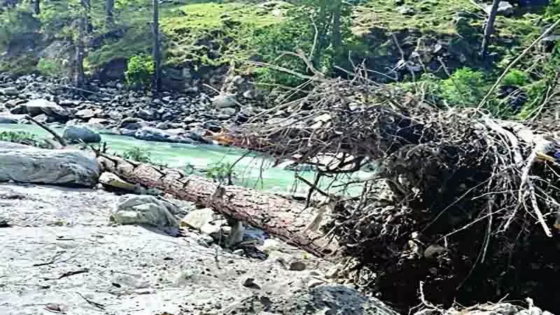 Manikaran घाटी में उखड़े हुए पेड़ की चपेट में आकर महिला और उसकी बेटी की मौत Manikaran घाटी में उखड़े हुए पेड़ की चपेट में आकर महिला और उसकी बेटी की मौत