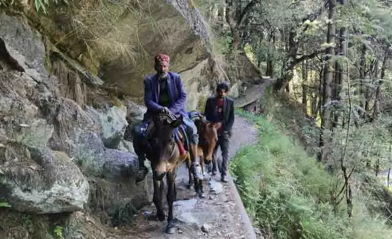 Himachal: सैंज घाटी के गांव आजादी के बाद से सड़क संपर्क से वंचित Himachal: सैंज घाटी के गांव आजादी के बाद से सड़क संपर्क से वंचित