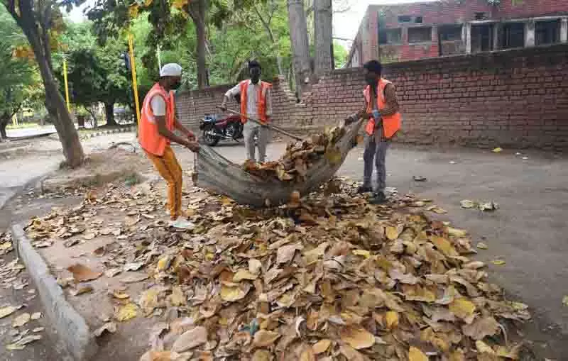 Chandigarh MC दक्षिणी सेक्टरों की सफाई के लिए नए सिरे से टेंडर जारी करेगा Chandigarh MC दक्षिणी सेक्टरों की सफाई के लिए नए सिरे से टेंडर जारी करेगा