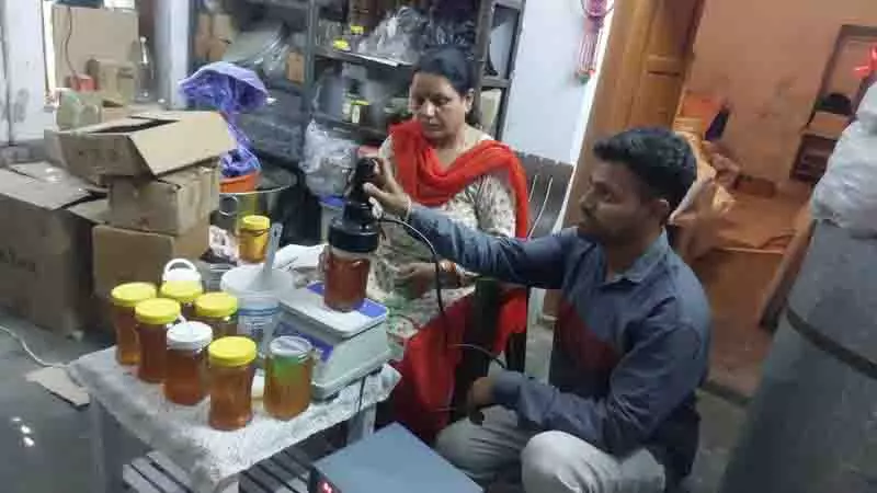 Himachal में बेरोजगार युवा मधुमक्खी पालन से बदल रहे अपना जीवन Himachal में बेरोजगार युवा मधुमक्खी पालन से बदल रहे अपना जीवन